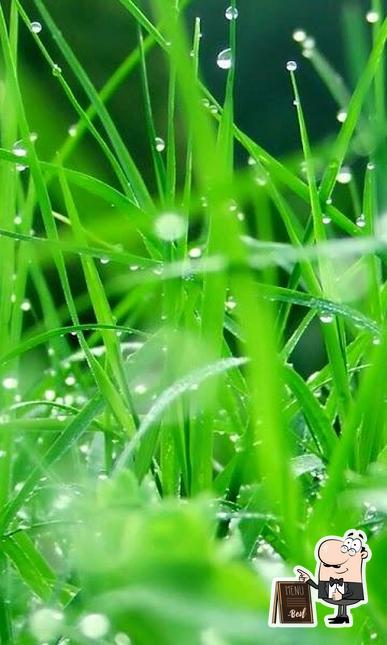 Look at the photo of Raja Rani - Vada Pav Center