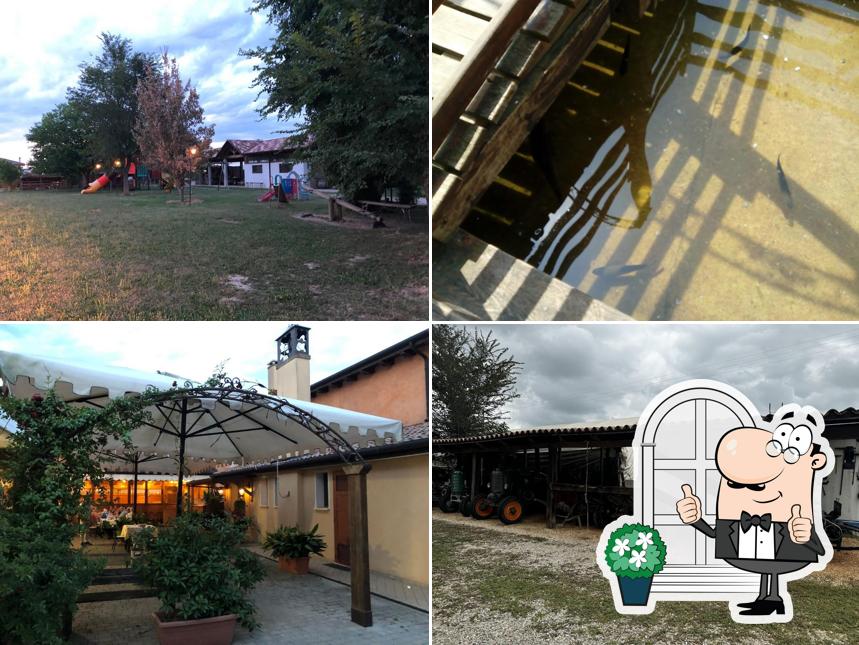 Guarda gli esterni di Agriturismo Al Capitellon