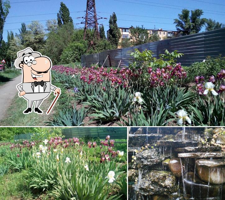 Profitez de la vue de l'espace ouvert de Riviera