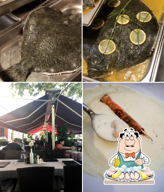 Ostriche al Bistro Stella