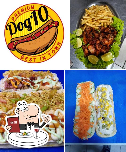 DOG 10 Delivery itajai