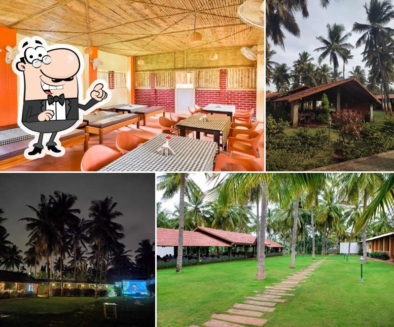 Enjoy the view at the outside area of The Courtyard Tree, Mysuru- Premium Garden Restaurant Event Venue Catering