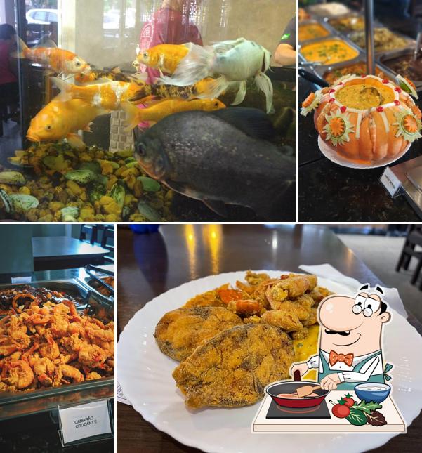 Curry de frango em Aquários - Ubatuba