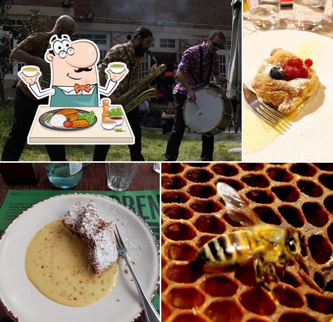 Platti al Asylum Bees-trò