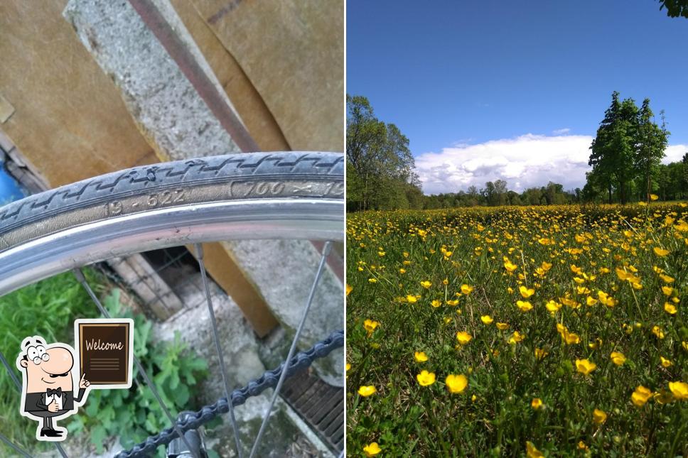 Ecco un'immagine di Tabacchi Frisa