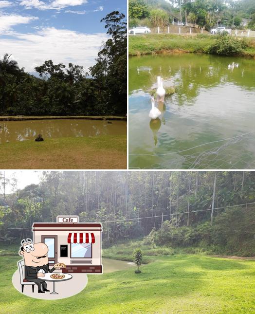 Pesque Pague Rio Molha