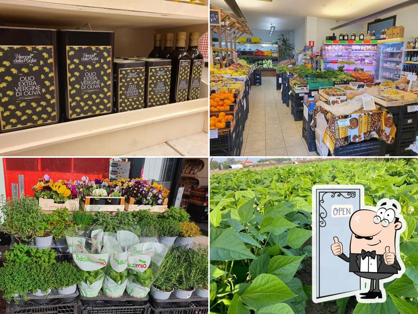 Ecco una foto di Terra e Natura - Frutta Verdura e Prodotti Alimentari km0