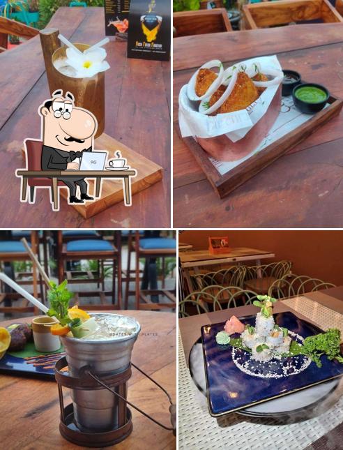 The Cult - Terra House