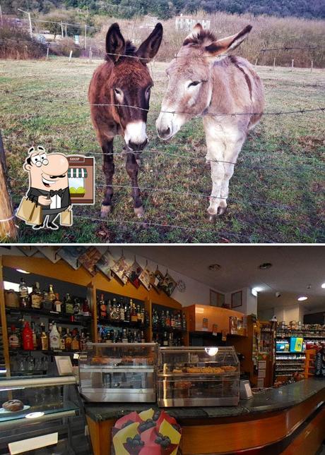 Rosati Caffè-Tabacchi