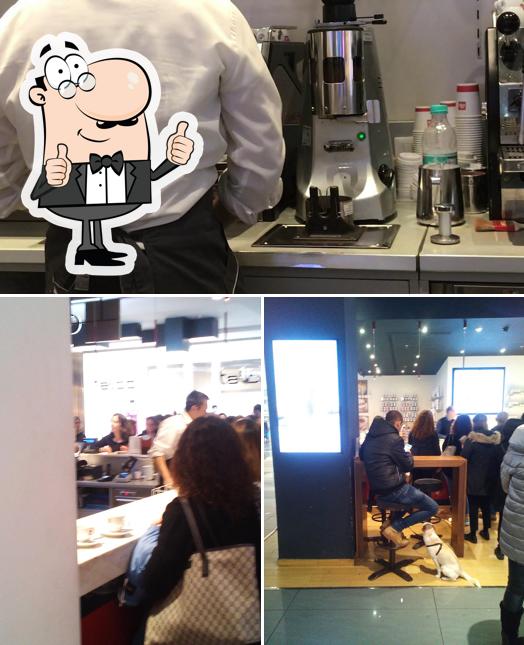 Immagine di illy Caffè