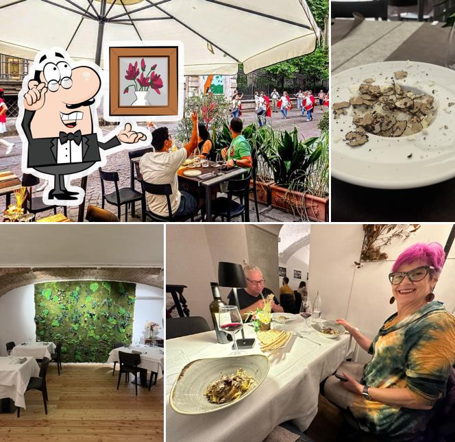 Dai un'occhiata agli interni di Tabui: Ristorante di Tartufi