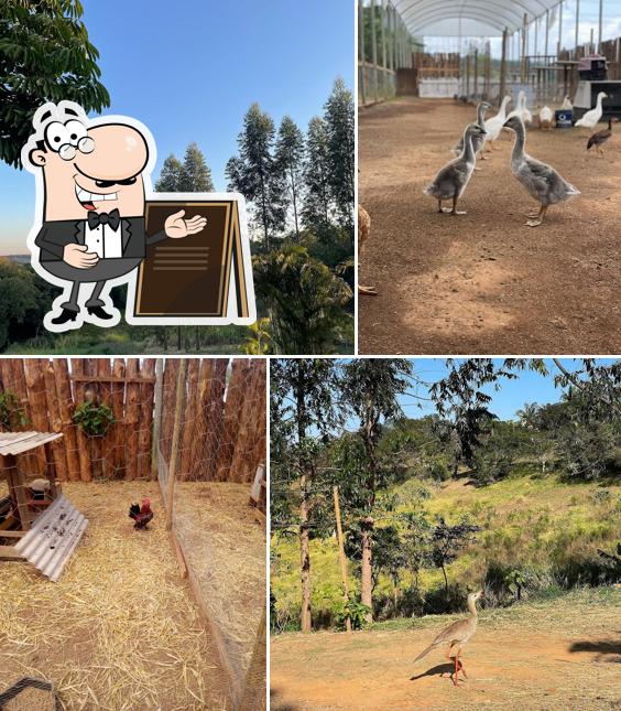 O exterior do Sítio Juancci