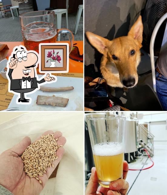 Gli interni di Doppiobaffo Birreria Chignolo Po - Microbirrificio