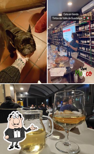 Gli interni di La Castellana