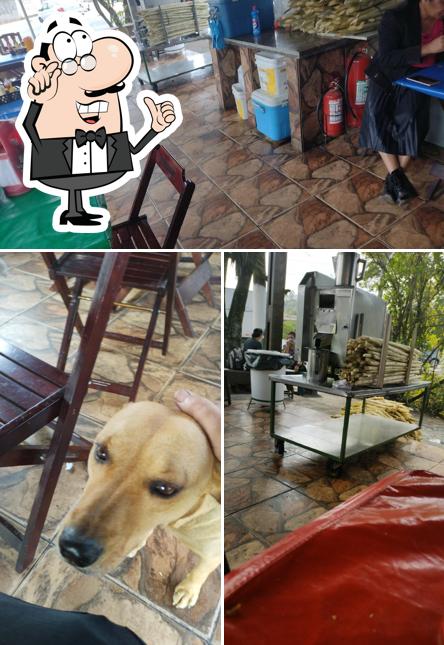 Veja imagens do interior do Pastelaria Tempero Nordestino