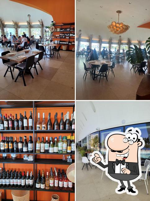 Veja imagens do interior do Casa do Saulo Museu do Amanhã