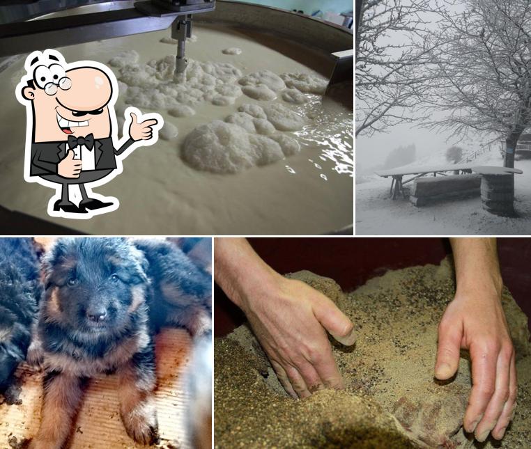 Vedi la foto di Malga Coro