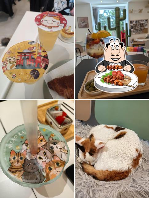 Cibo al Miaoka Cat Cafè