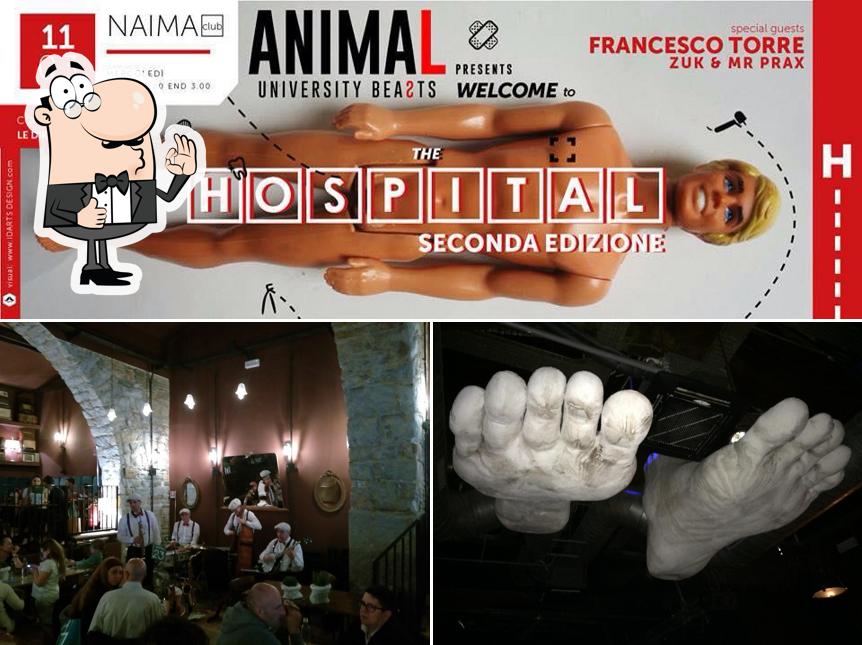 Guarda la foto di Macaki