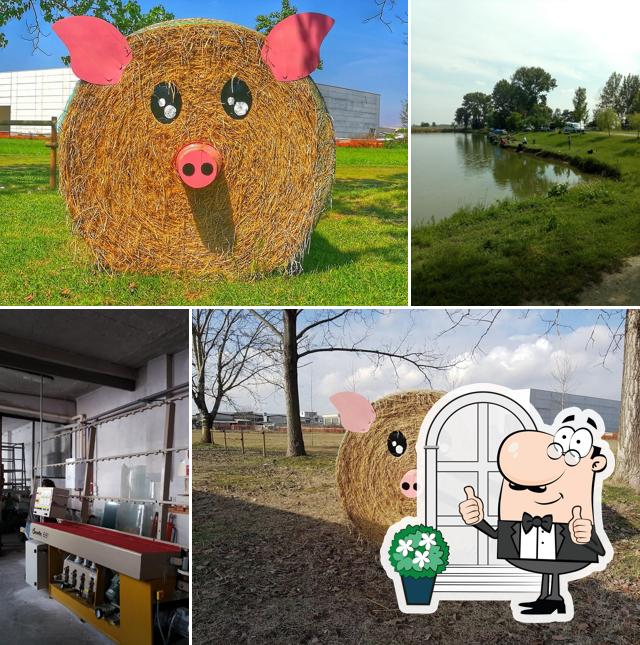 Goditi la vista dall'area esterna di Ristorante Laghetto di Casalgiate