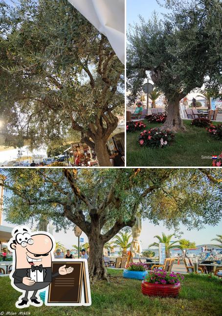 Gli esterni di Slasticarnica Filipjanka