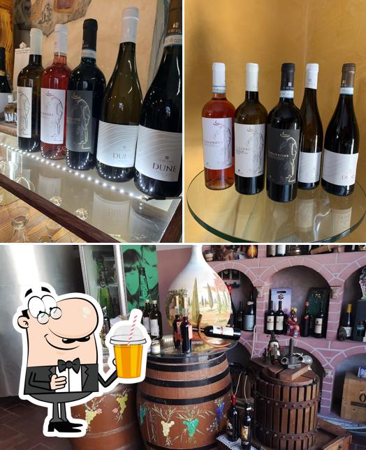 Le Sei Volte - Cantina