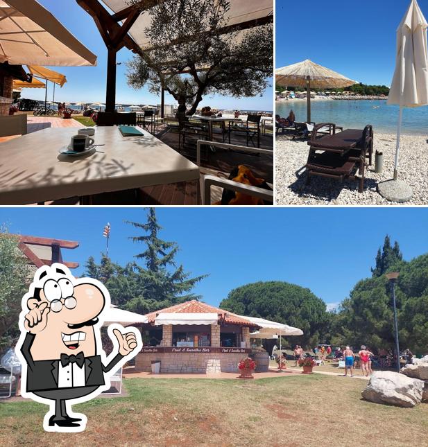 Fruit & Smoothie Bar