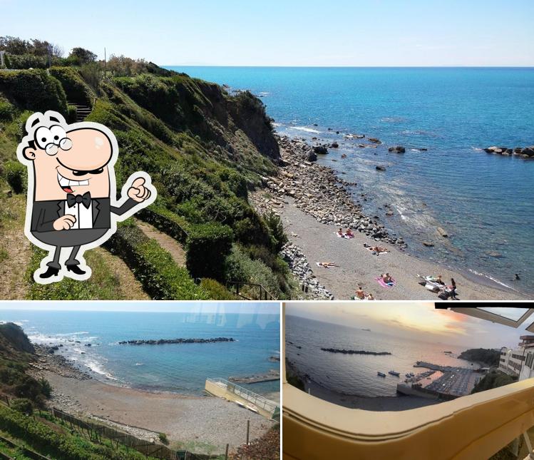 Questa è la foto che raffigura la esterno e cibo di Ristorante Novelli