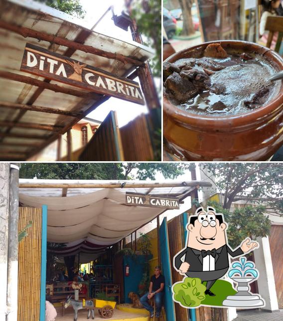 Veja imagens do exterior do Dita Cabrita