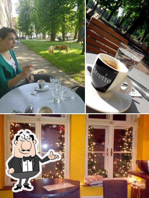 Gli interni di Caffe bar Cohiba