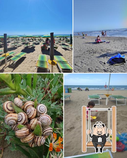 Stabilimento e Ristorante Capannina 3 - Lido dei Pini