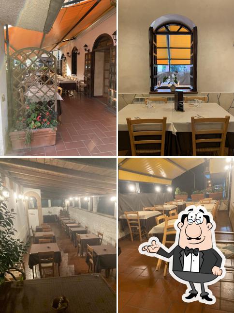 La Dolce Vita Di Aldo Carnevali