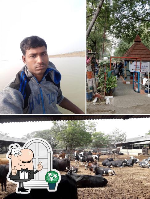 The exterior of Panjarpol Gorakshan Sanstha