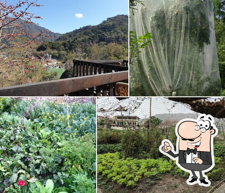 You can get some fresh air at the outside area of Ramana's Organic Cafe