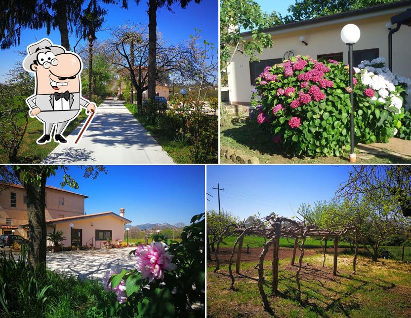 Guarda gli esterni di Agriturismo Ristorante Lo Speciano - Ristorante Cave (RM)