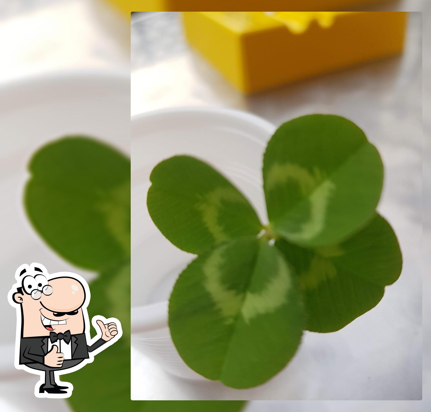 Bar Aliperti Sas Di Aliperti Giuseppe & Figli