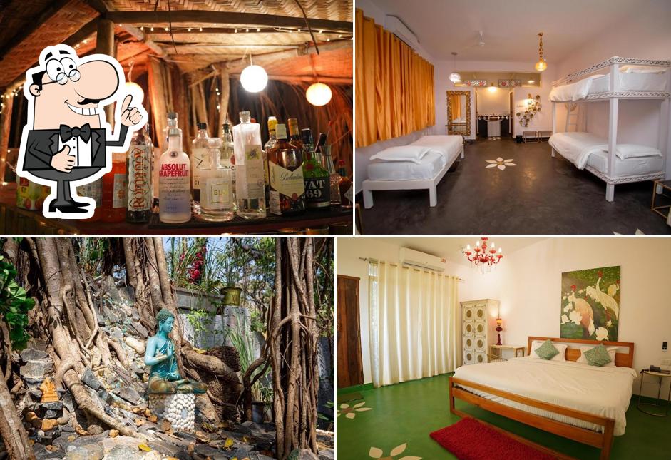 The Singing Tree By Nirvana Hotels