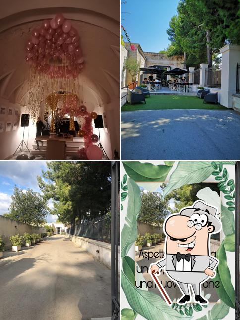 Caffè Vergnano 1882