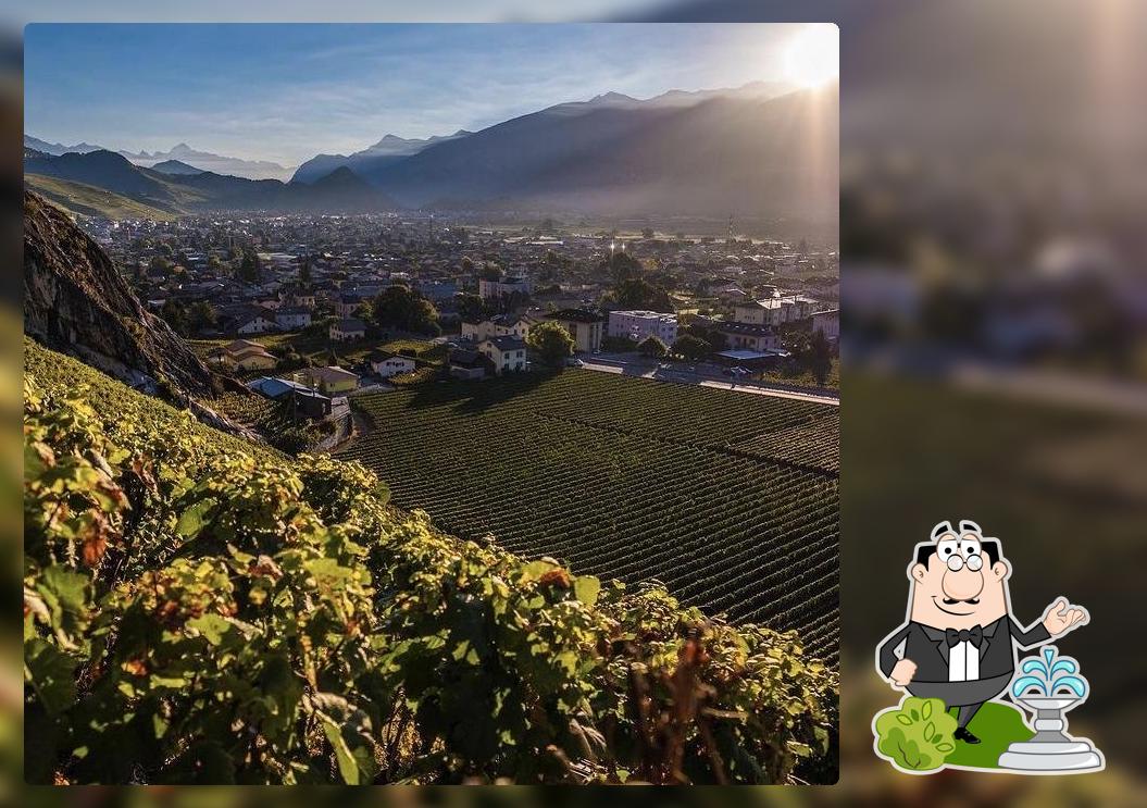 La parte esterna è una caratteristica importante di Clos de Balavaud (Les Fils Maye)