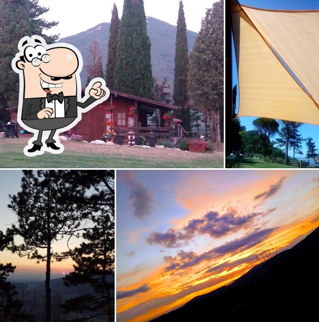 Bar Il Canto Del Gallo