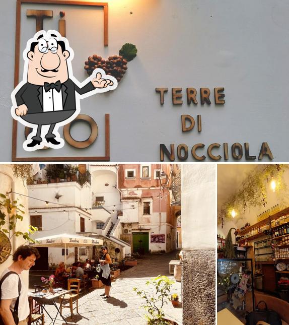 Gli interni di Tipico terre di nocciole