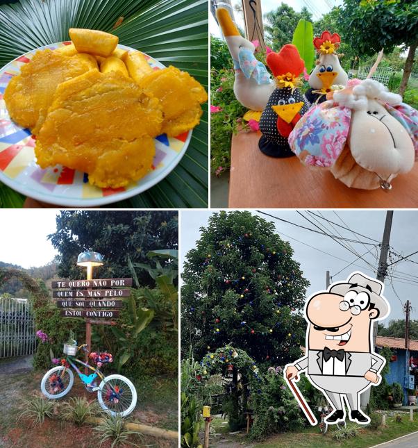 Vivero del Quindio, Café Colombiano