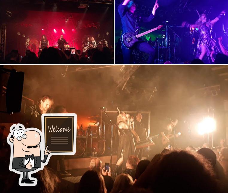 Regarder la photo de Biebob Concerts