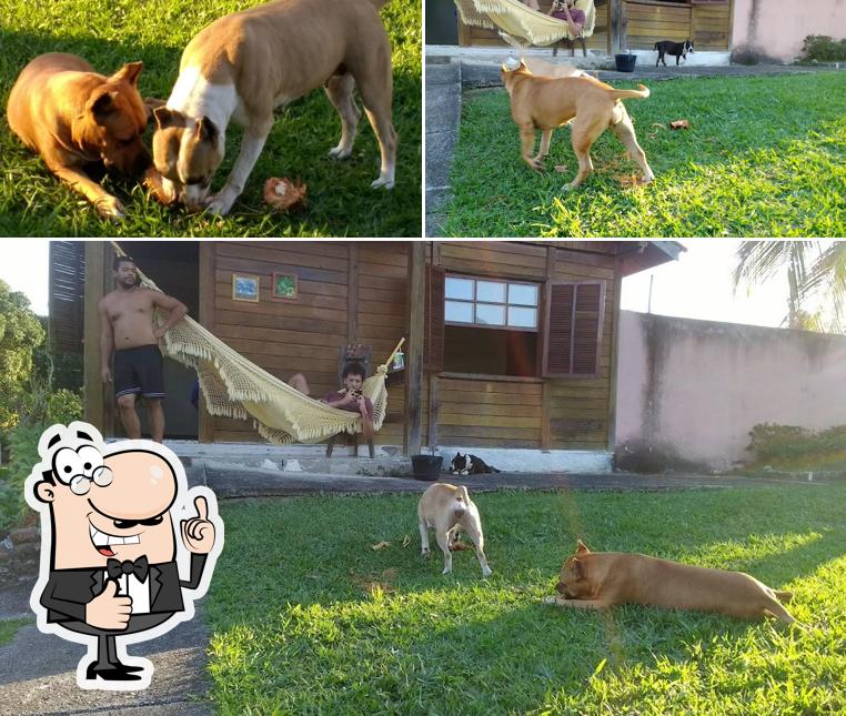 Here's a pic of Bar do Romulo