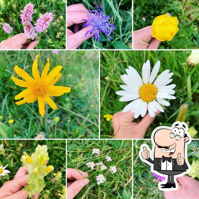 Ecco un'immagine di Rifugio Parafulmine