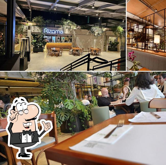 Veja imagens do interior do Rizoma