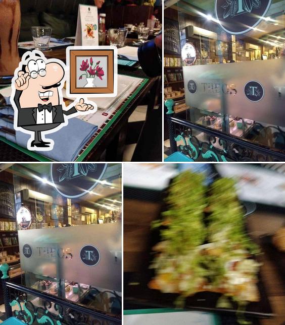 THEOS SECTOR 50 NOIDA