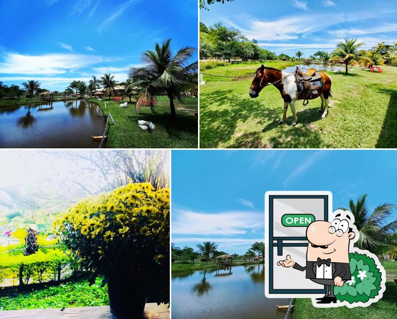 Restaurante do Jamil Cantagalo