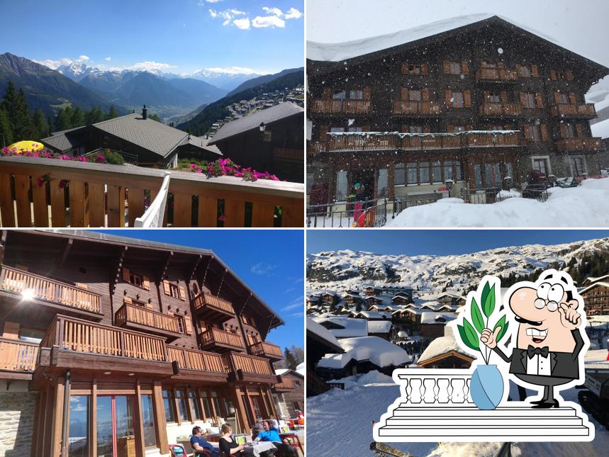 Guarda l'area esterna di Aletsch