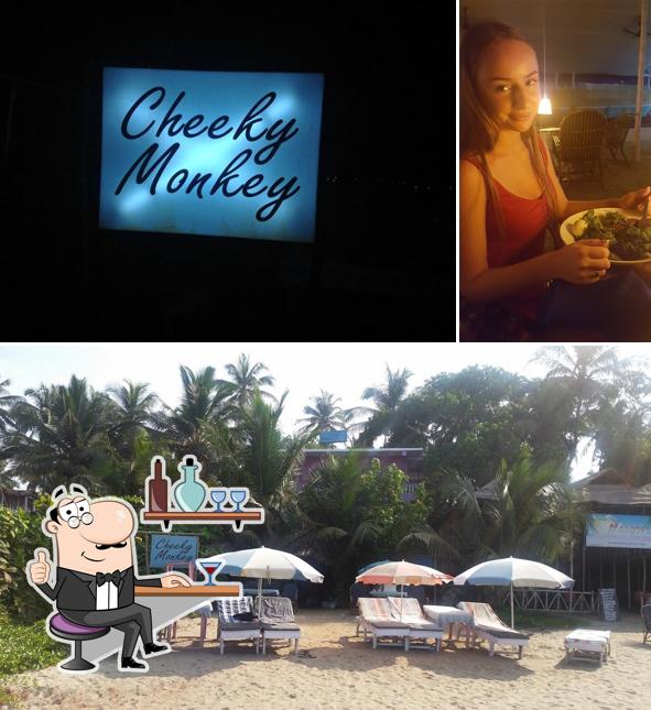 Check out how Cheeky Monkey looks inside